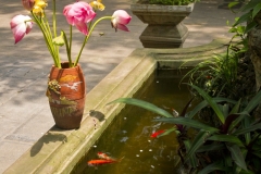 Flor de loto sobre estanque vietnamita