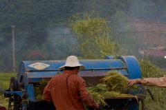 Tareas agrícolas vietnamitas